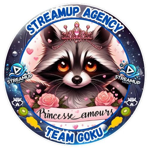 @princesse_amours